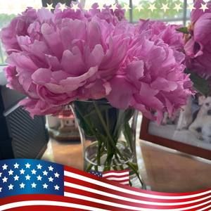 Meet your Posher, Liz